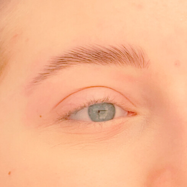 Fluff Up Brows (BROW LAMINATION) course + kit Lashes by Victoria